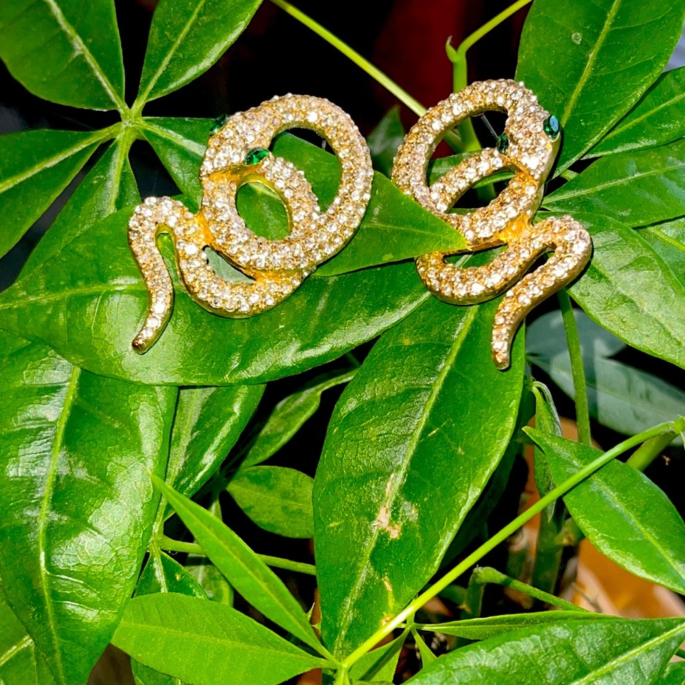 Women earrings